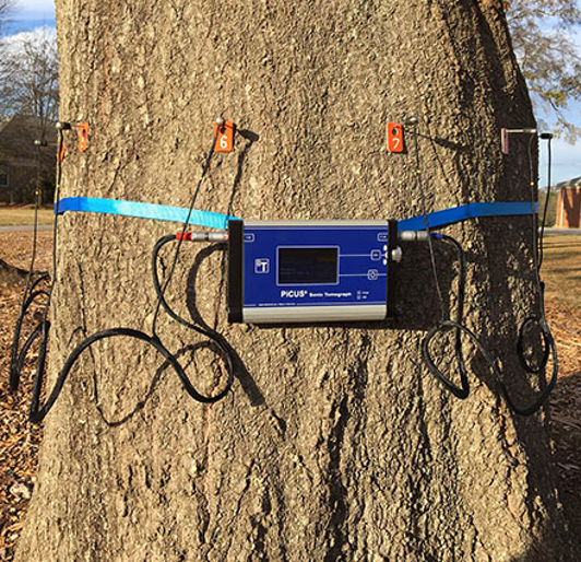 Construction Assessments near Knoxville, Tennessee