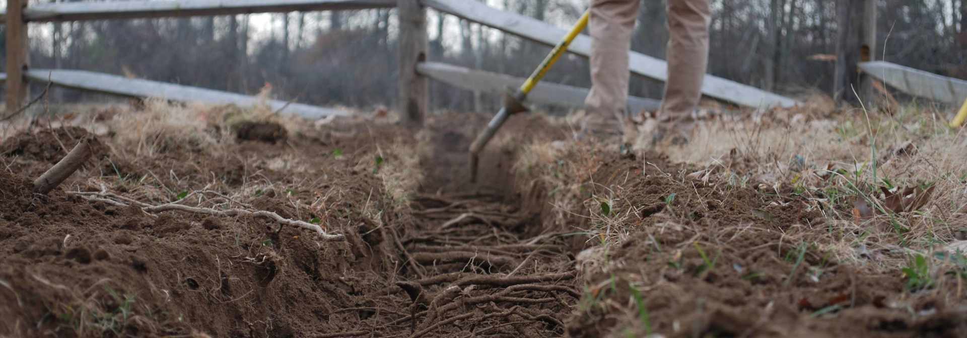 Vertical Mulching and Radial Trenching in Tennessee | Cortese