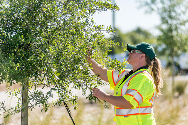 Commercial Property Assessment